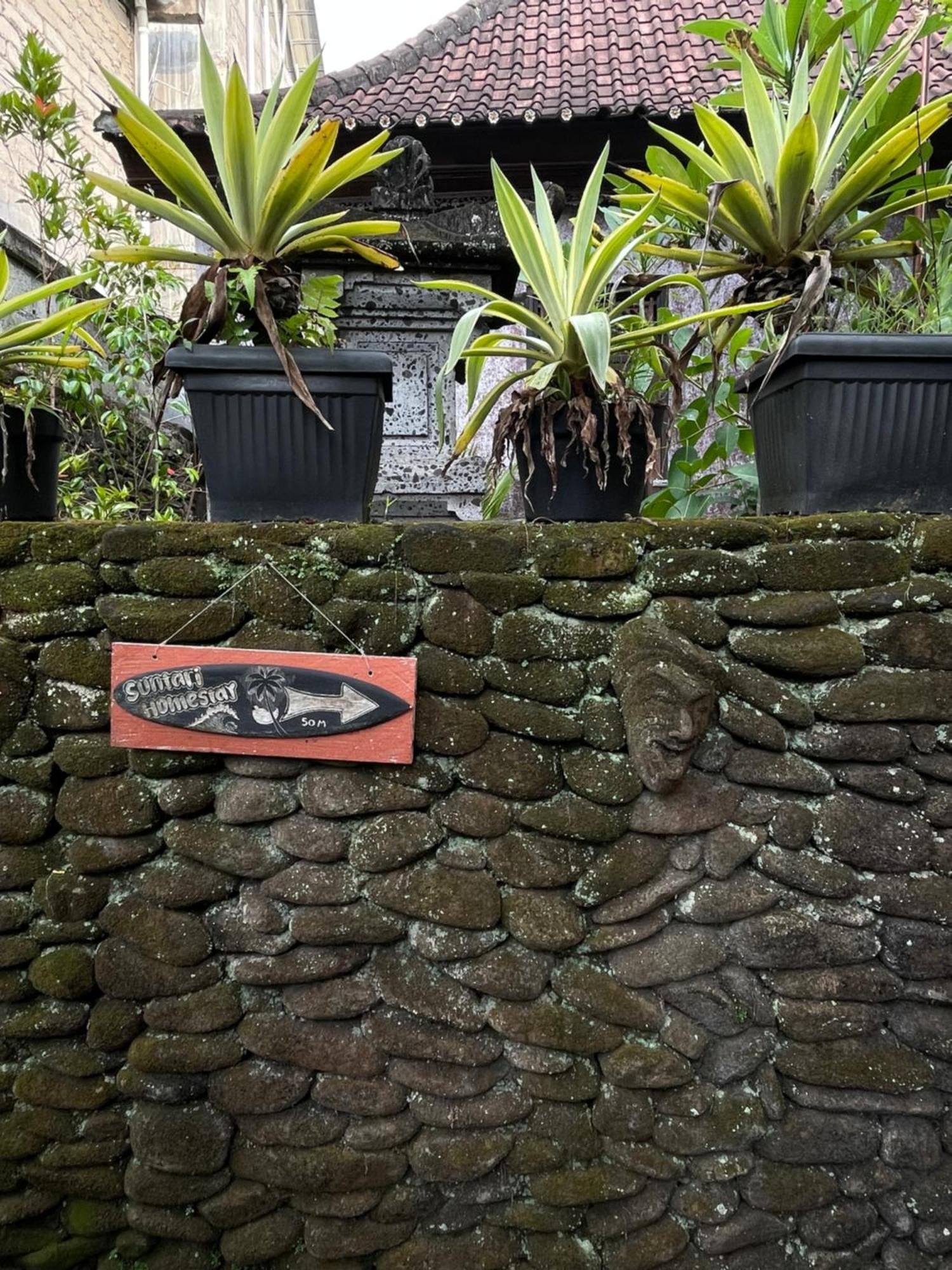 Suntari Homestay Ubud Kültér fotó